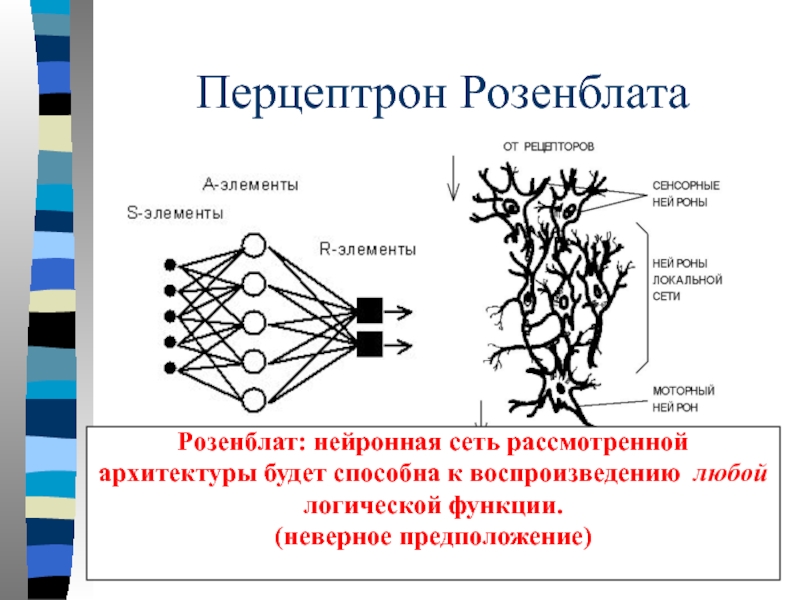 Фрэнком розенблаттом. Персептрон нейронные сети. Фрэнк Розенблатт персептрон. Перцептрон искусственные нейронные сети. Иерархические нейронные сети.
