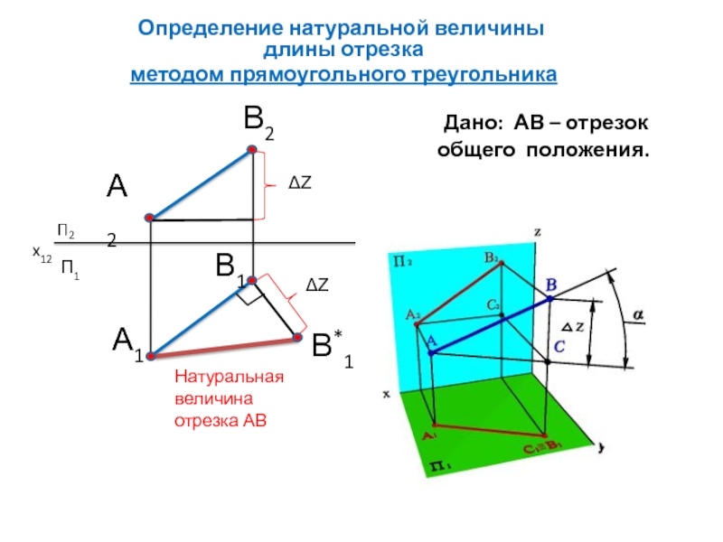 Метод отрезков. Натуральная величина Начертательная геометрия. Натуральная величина отрезка Начертательная геометрия. Истинная величина отрезка Начертательная геометрия. Натуральная величина отрезка прямой перпендикулярные прямые.