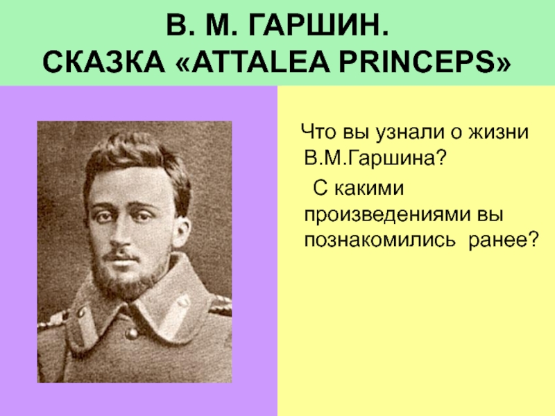 Презентация Attalea Princeps В.М. Гаршин