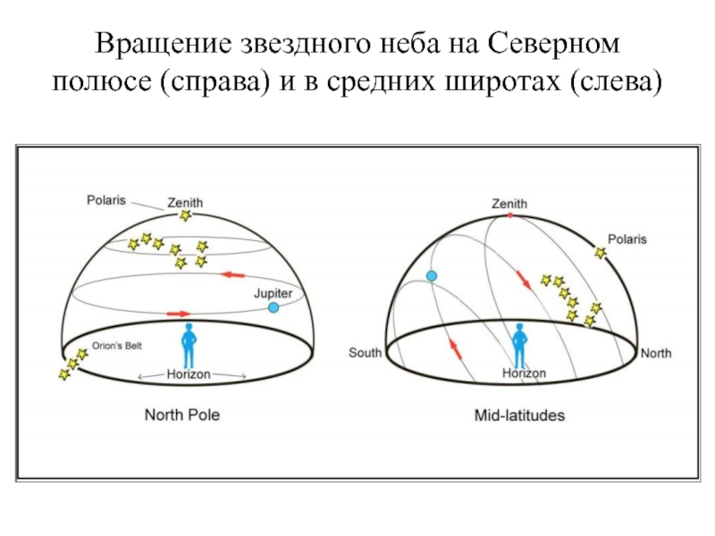 Звездное небо и небесные координаты презентация