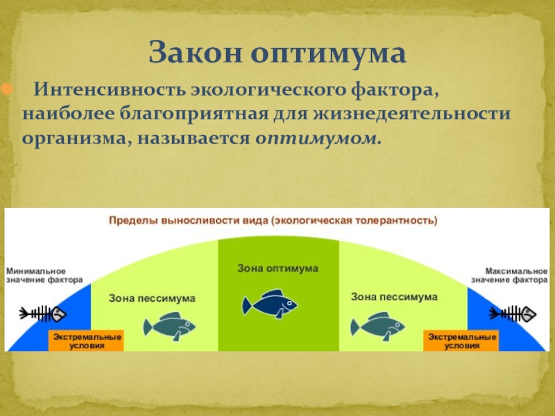 Схема действия факторов среды на живые организмы