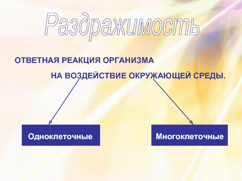 Презентация на тему координация и регуляция