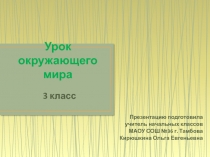 Принятие Русью христианства. Расцвет Древнерусского государства 3 класс