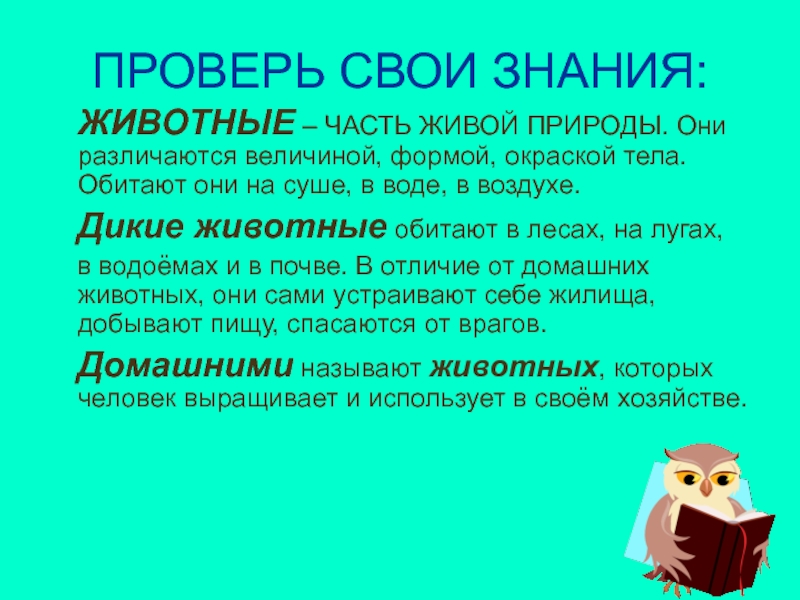 Знание животных. Животные часть живой природы. Животные часть живой природы 3 класс. Человек часть живой природы. Конспект урока животные часть живой природы 1 класс.