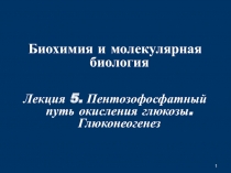 1
Биохимия и молекулярная биология
Лекция 5. Пентозофосфатный путь окисления