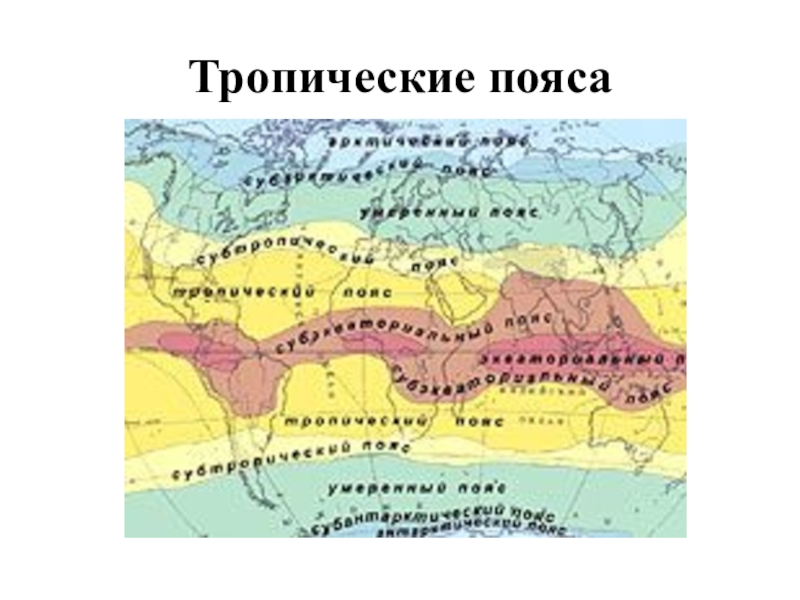 Название климата. Климатические пояса мира воздушные массы. Типы воздушных масс в пределах климатических поясов на карте мира. Тропический пояс. Тропический климатический пояс.