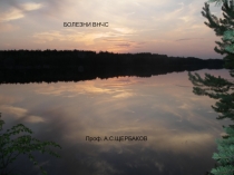 Болезни ВНЧС 
