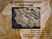 Изучение способов хранения палеонтологических находок