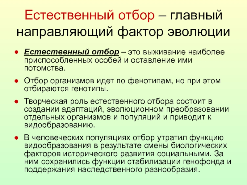 Естественный отбор направляющий фактор эволюции презентация 11 класс