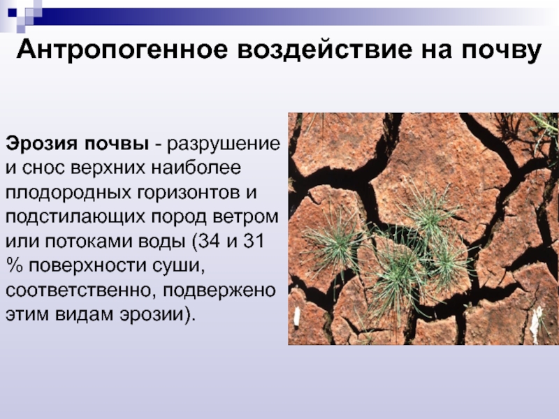 Причины изменения почв. Антропогенное воздействие на почву. Антропогенное влияние на почву. Антропогенная эрозия почв. Последствия антропогенного воздействия на почву.