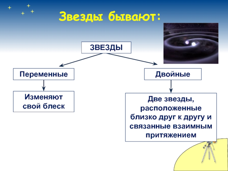 Звезды бывают