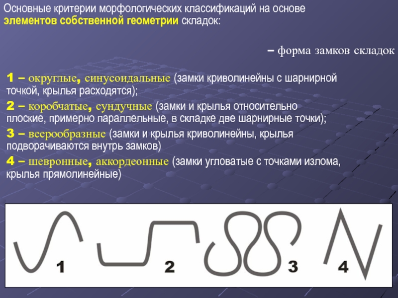 Морфологическая классификация складок по форме в плане ширина и длина складок