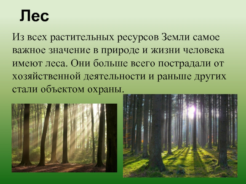 Роль человека в природе презентация по биологии