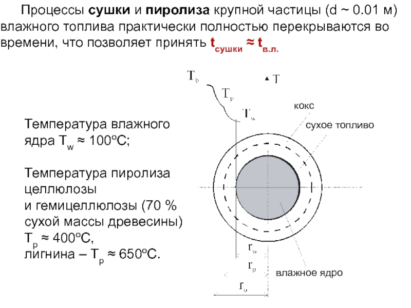 Температура в осе