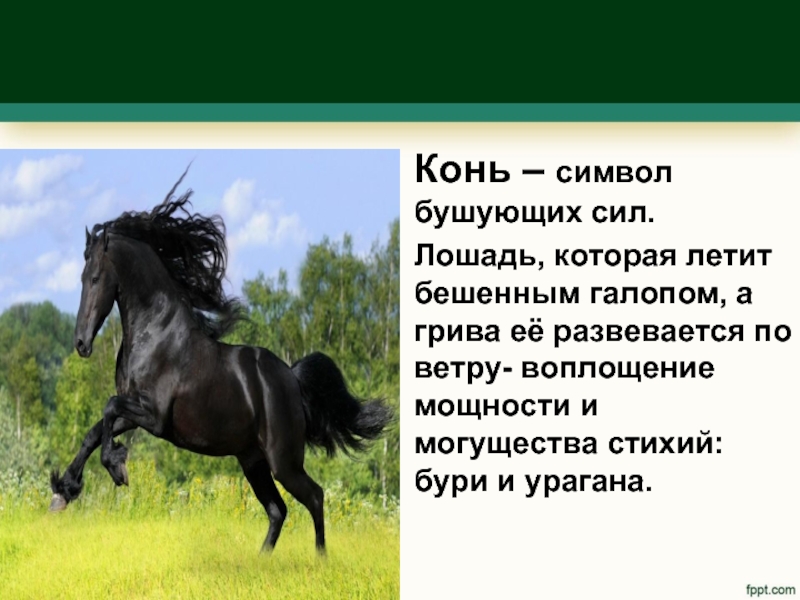 Конь – символ бушующих сил.Лошадь, которая летит бешенным галопом, а грива её развевается по ветру- воплощение мощности