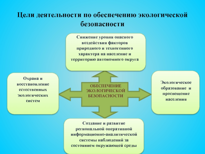 Экологическая безопасность схема