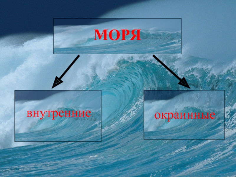 Укажите название внутренних морей