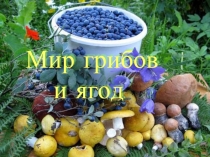 Мир грибов и ягод