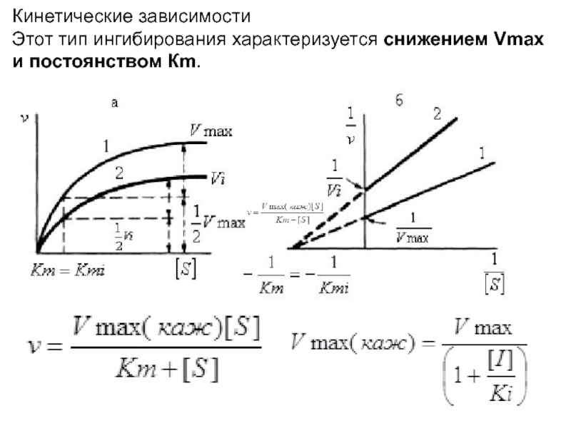 Кинетическая зависимость. График Лайнуивера-Берка для конкурентного ингибирования. Типы ингибирования схемы. Необратимое ингибирование график. Кинетические зависимости неконкурентного типа ингибирования.