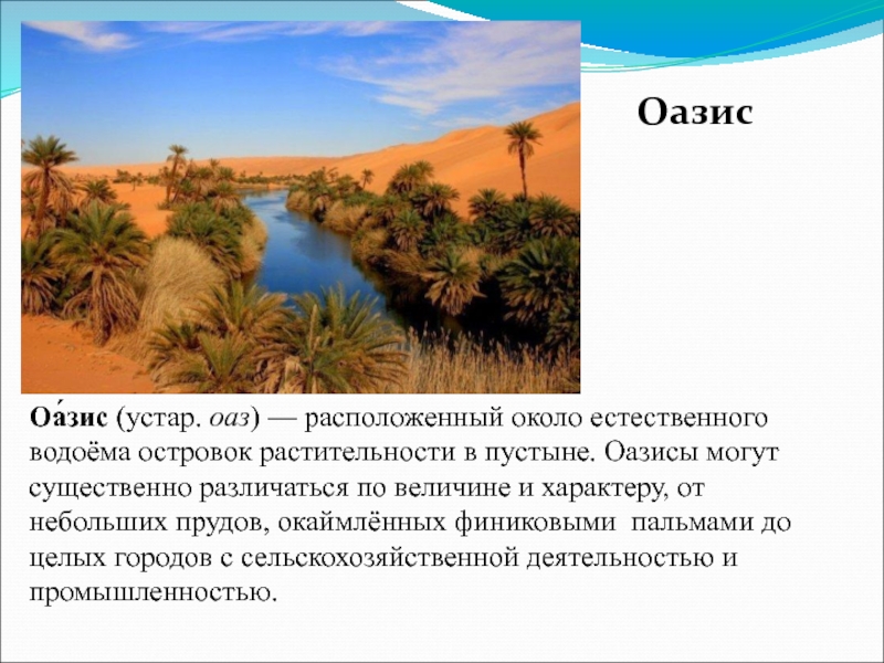 Описание оазиса. Оазисы презентация. Что такое Оазис в пустыне кратко. Растительность оазиса в Африке. Что такое Оазис кратко.