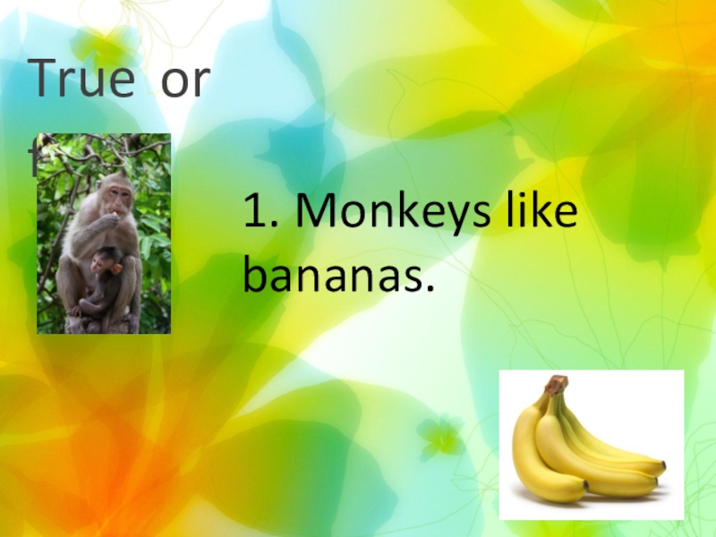 I like monkey. Банан для презентации. True or false 3 класс. Like Banana. Do Monkeys like Bananas ответ на вопрос.