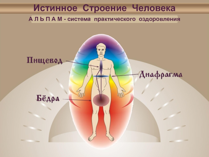 Наибольшая структура человека. Истинное строение человека. Семеричное строение человека. Тонкие тела человека Левашов. Анатомия человека истинного.