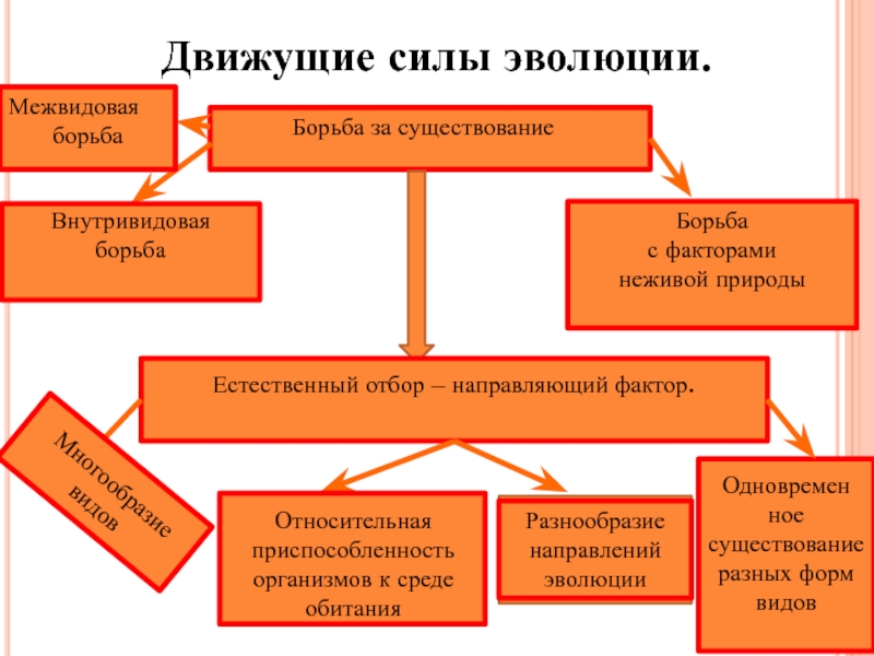 Нарисовать схему движущие силы эволюции