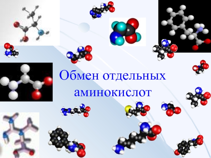 Обмен отдельных аминокислот