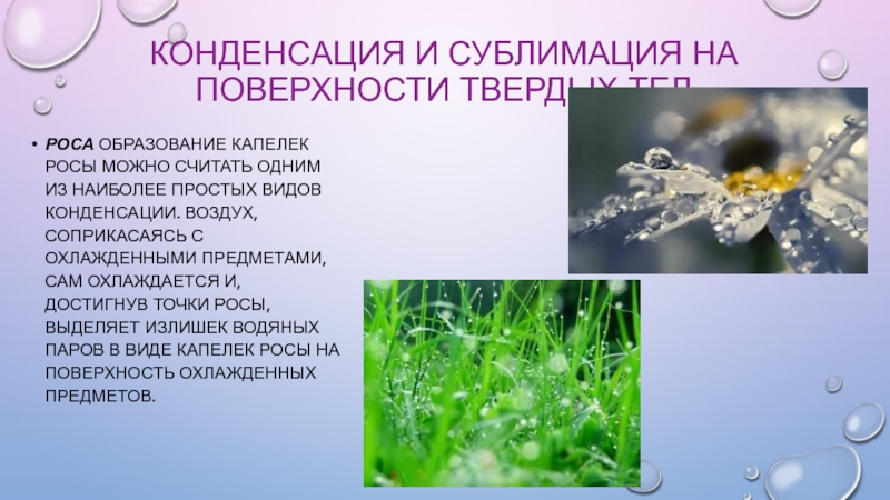 Образование росы. Конденсация и сублимация водяного пара. Конденсация и сублимация в атмосфере. Конденсация роса.