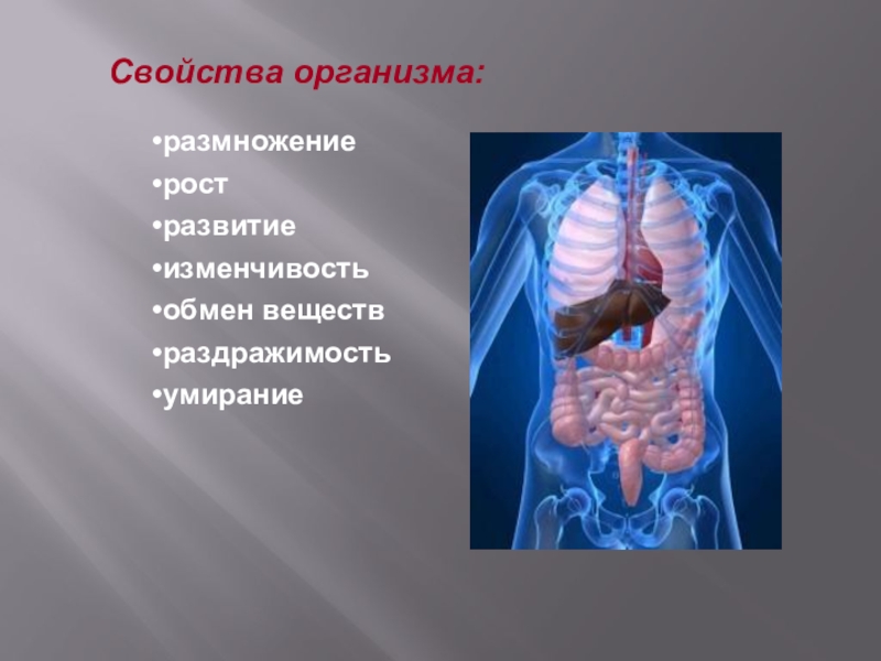 Характеристика организма. Понятие органы человека. Варианты строения органов. Понятие органа в анатомии. Понятие об органе и системе органов.