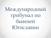 Международный трибунал по бывшей Югославии