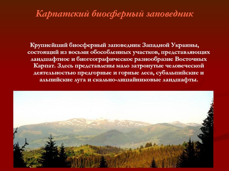 Карпатский биосферный заповедник Крупнейший биосферный заповедник Западной Украины, состоящий из восьми обособленных участков, представляющих ландшафтное и биогеографическое