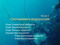 Лекция 2. Систематика водорослей