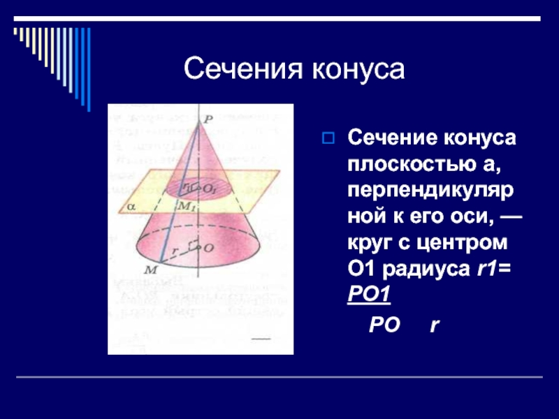 Площадь сечения конуса плоскостью проходящей. Сечение конуса плоскостью перпендикулярной оси. Сечение перпендикулярное оси конуса. Сечение конуса круг. Сечение конуса окружность.