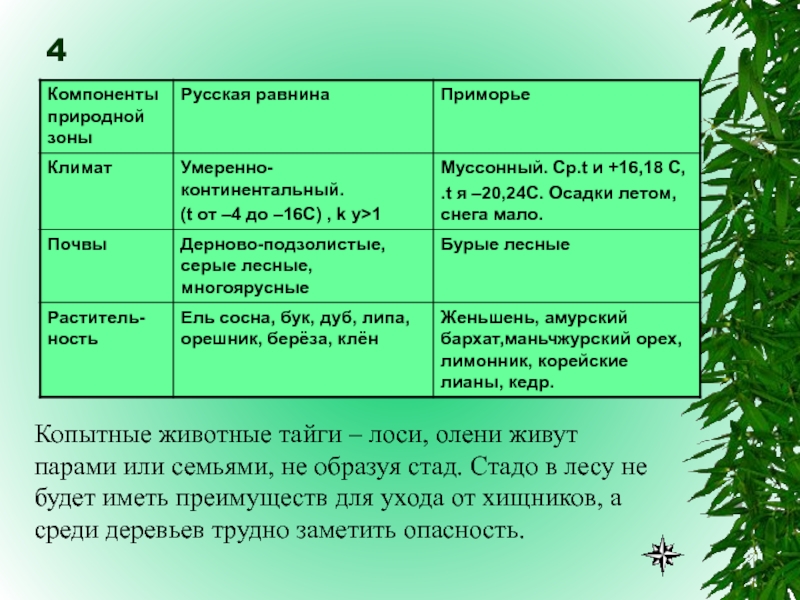 Общий вид леса таблица