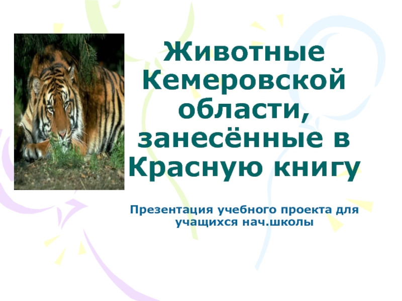 Животные Кемеровской области, занесённые в Красную книгуПрезентация учебного проекта для учащихся нач.школы
