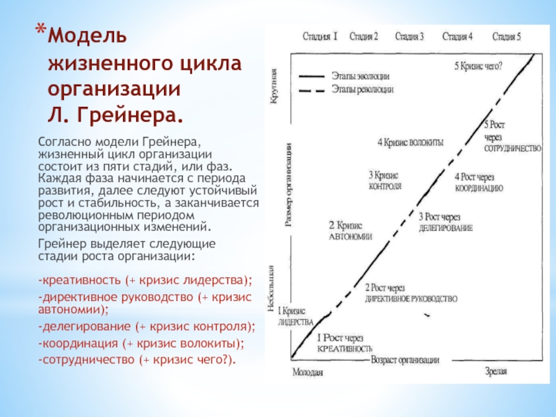Этапы роста организации. Модель жизненного цикла организации по л. Грейнеру. Модель развития организации Ларри Грейнера. Грейнер жизненный цикл. Стадии жизненного цикла л. Грейнера.