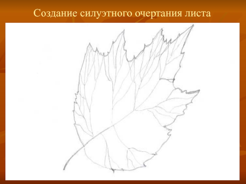 Разработки лист. Лист о создании. Построение листика. Построение листа. Очертания лист Буда.