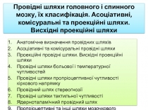 Провідні шляхи головного і спинного мозку, їх класифікація