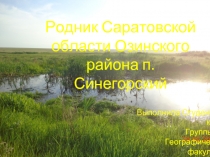 Родник Саратовской области Озинского района п. Синегорский