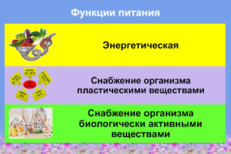 Здоровое питание – активное долголетие Функции питания Функции питания