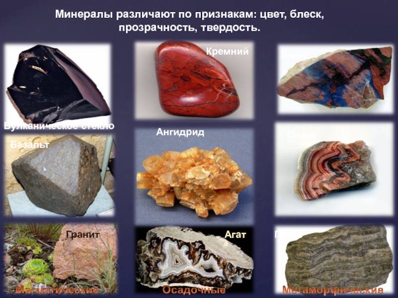 Минералы различаются по таким основным признакам. Горные породы и минералы. Кремний минерал. Минералы различают по. Горные породы камней.