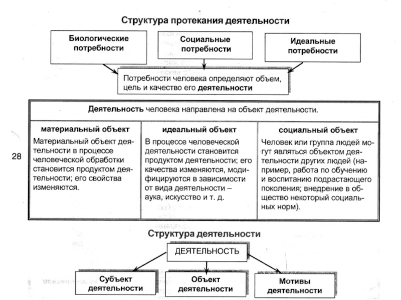 Сложный план человек как продукт эволюции