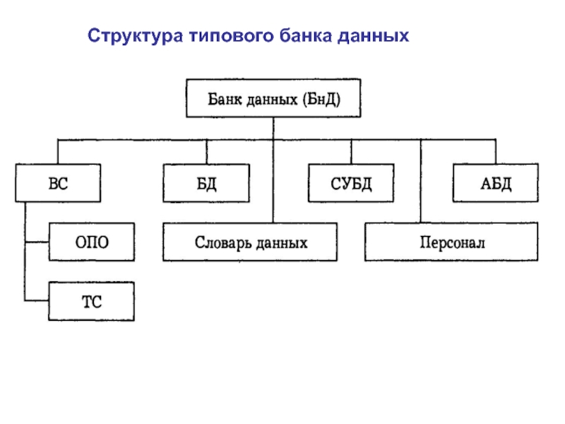 Банки информации банки данных. Банк данных состав схема. Приведите схему общей структуры банка данных. Структура базы данных банка. Структура банка данных Информатика.