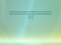 Б?лшы?еттер, б?лшы?еттер типтері оларды?  ??рылысы