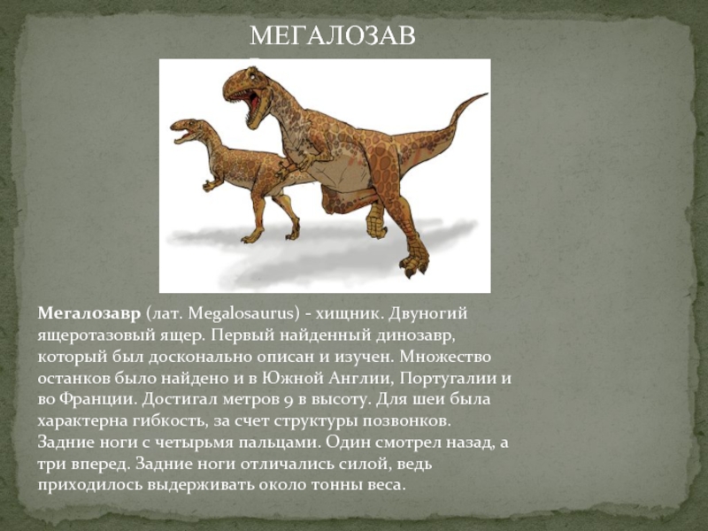 Мегалозавр (лат. Megalosaurus) - хищник. Двуногий ящеротазовый ящер. Первый найденный динозавр, который был досконально описан и изучен. Множество