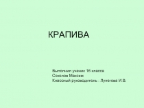 Крапива (1 класс)