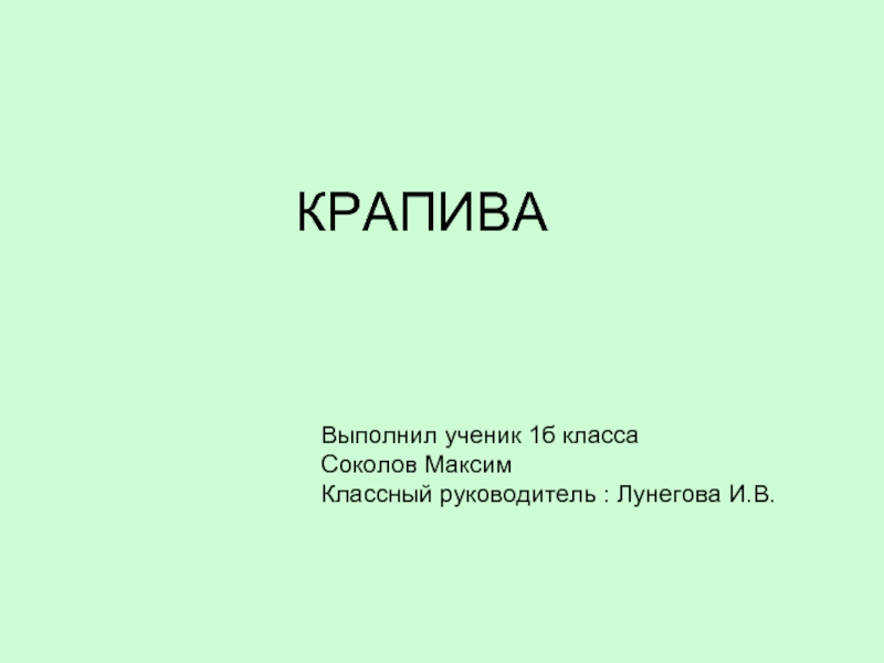 Презентация Крапива (1 класс)