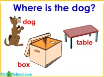 Where is the dog?