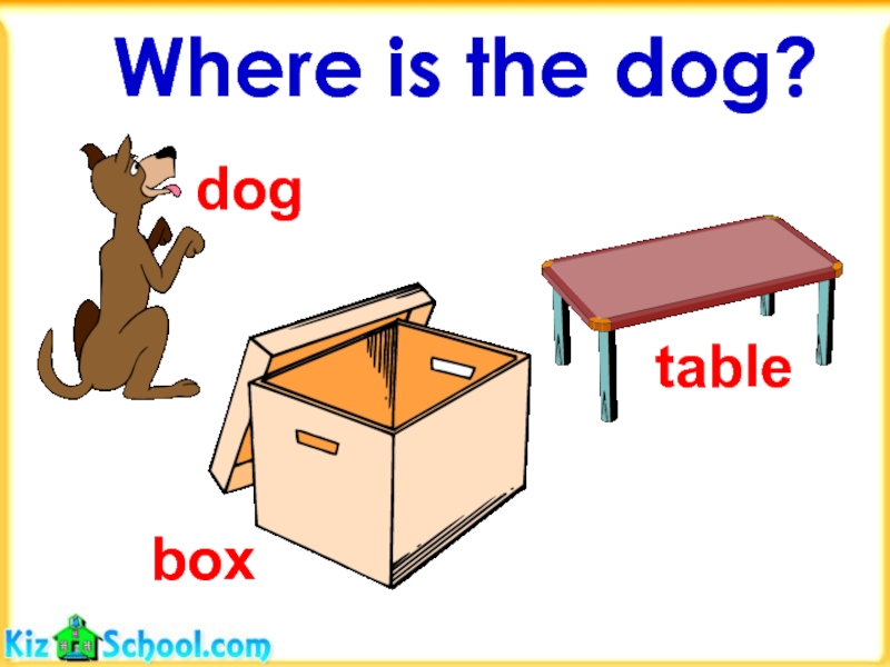 Where is the dog?